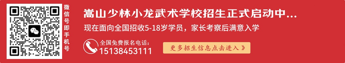 嵩山少林小龙武术学校招生进行中