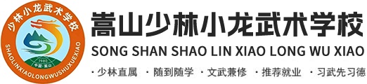 少林小龙文武学校招生