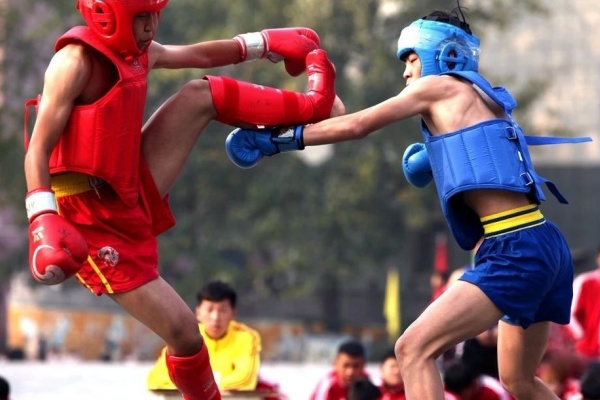 少林小龙武术学校 (115).jpg