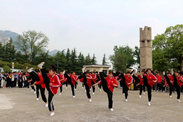 少林小龙武术学校 (179).jpg